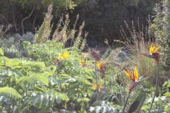 IMG_0333web