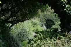IMG_2471web